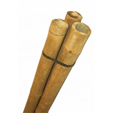 Bamburörsset 80cm - 3st á Diam. 6-7cm