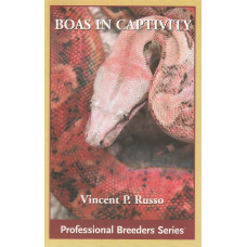 Boas in Captivity