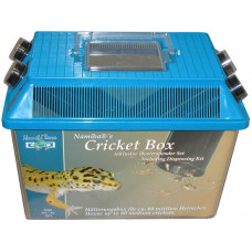 Cricket Box Small - 18x11x16cm