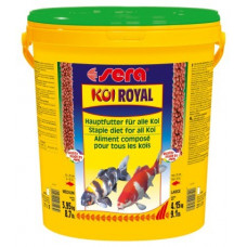 KOI Royal Medium - 20 liter