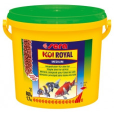 KOI Royal Medium - 3800 ml
